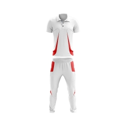 Cricket